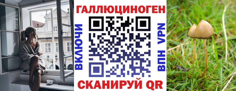 Псилоцибиновые грибы Psilocybe  Купить  Стрежевой 